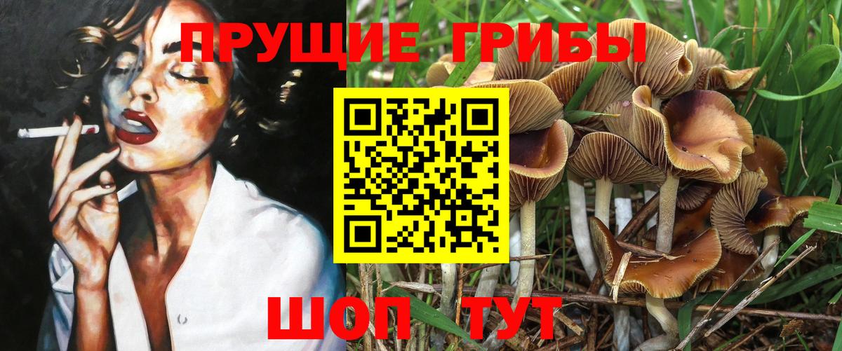 Галлюциногенные грибы Psilocybe  Вход с VPN  Кимовск  Псилоцибиновые грибы Magic Shrooms 