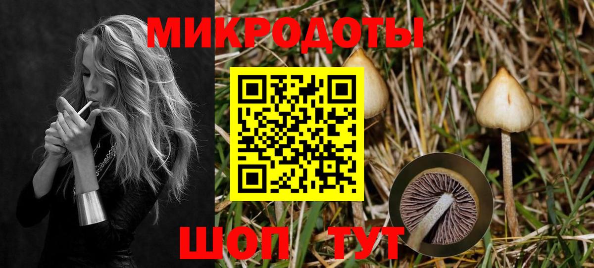 Галлюциногенные грибы прущие грибы Кимовск